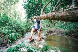 BIB: 
                            <button type="button" onclick="openModal(25518058)" class="btn btn-primary btn-sm float-right btn-popup" data-toggle="modal" data-target=".modal-high-quality">
                        <i class="fas fa-shopping-cart"></i> Add to Cart
                    </button>
                                            <button type="button" onclick="isThisMe(25518058, true)" class="btn btn-success btn-sm float-right btn-popup btn-isme hidden" data-toggle="tooltip" data-placement="bottom" title="นี่คือรูปของคุณใช่ไหม คลิกที่นี่เพื่อเอาเข้าอัลบั้ม">
                        <i class="fas fa-plus"></i> Add to album
                    </button>
                    <button type="button" onclick="isThisMe(25518058, false)" class="btn btn-warning btn-sm float-right btn-popup btn-isnotme hidden">
                        <i class="fas fa-ban"></i> Remove from album
                    </button>